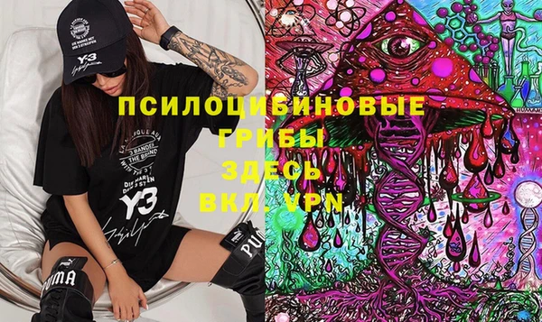 бошки Бронницы