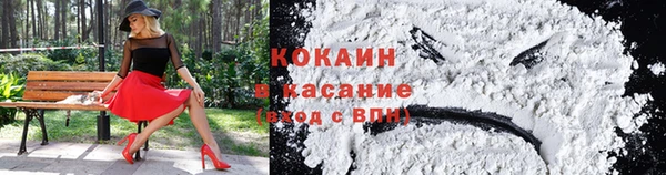 бошки Бронницы