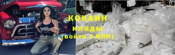 бошки Бронницы